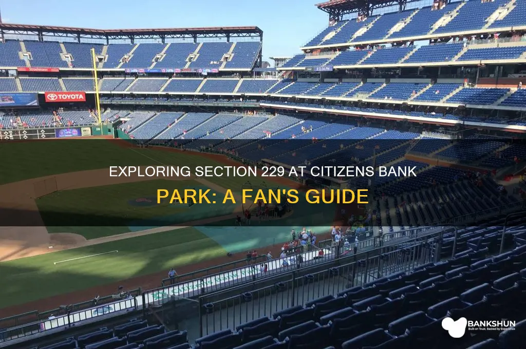 is section 229 at citizens bank park