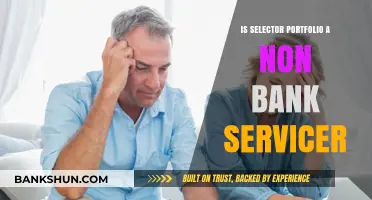 Is Selector Portfolio a Non-Bank Servicer? Exploring the Financial Landscape