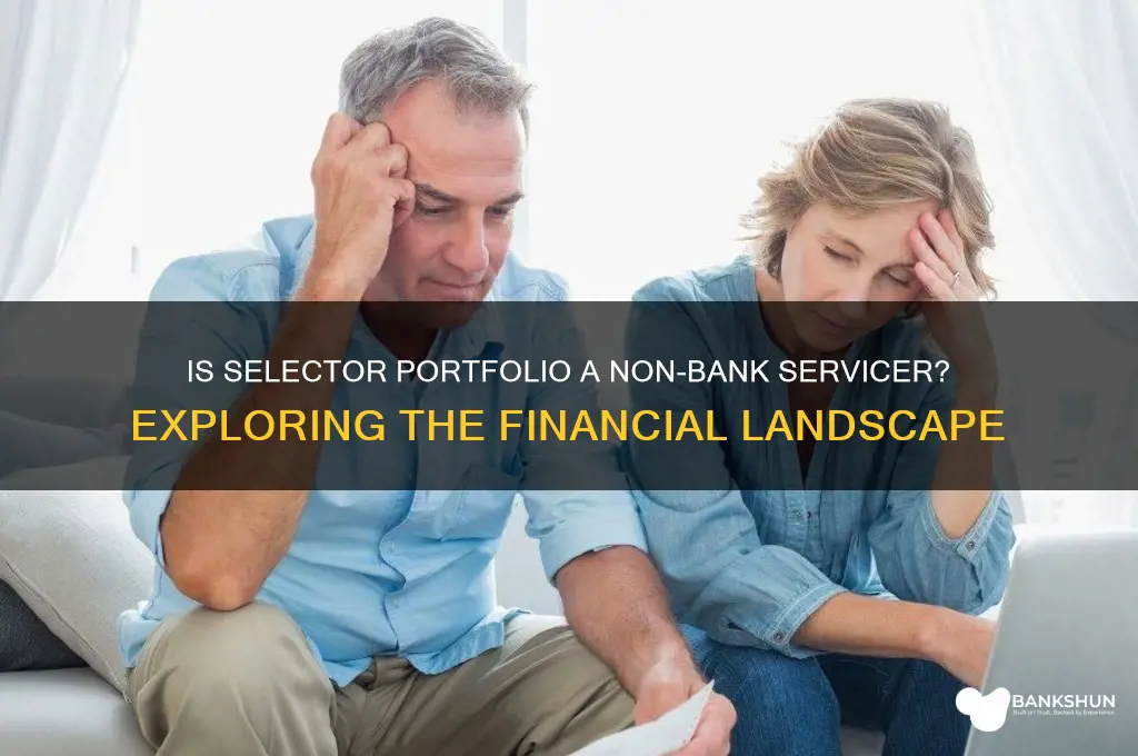 is selector portfolio a non bank servicer