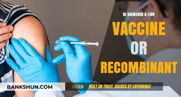 Shingrix Vaccine: Live or Recombinant? Understanding Its Technology