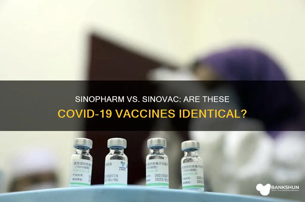 is sinopharm and sinovac vaccine the same