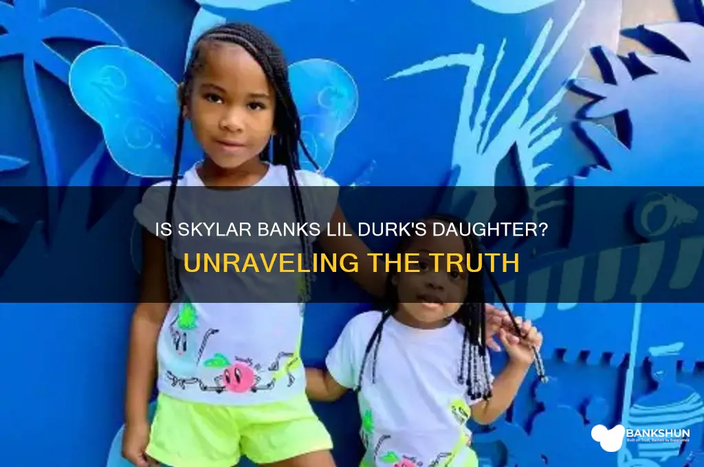 is skylar banks lil durk