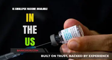 Is Smallpox Vaccine Accessible in the US Today?