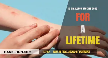 Does the Smallpox Vaccine Provide Lifelong Immunity? Exploring the Facts