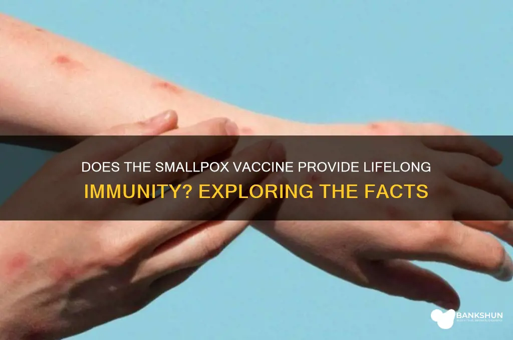 is smallpox vaccine good for a lifetime