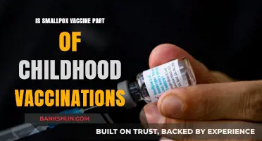 Is the Smallpox Vaccine Included in Childhood Immunizations Today?