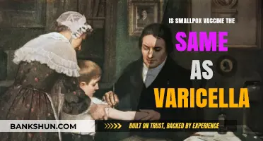 Smallpox vs. Varicella Vaccine: Understanding the Key Differences
