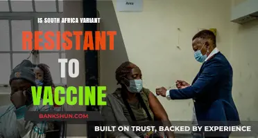 South Africa COVID-19 Variant: Vaccine Resistance Concerns Explained