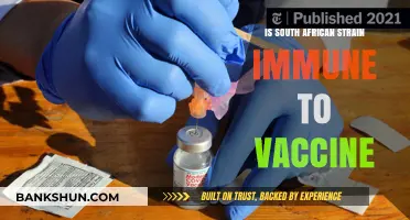 South African COVID-19 Variant: Vaccine Efficacy Concerns Explained