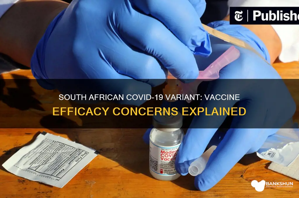 is south african strain immune to vaccine