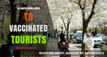 South Korea Welcomes Vaccinated Tourists: Travel Updates and Guidelines