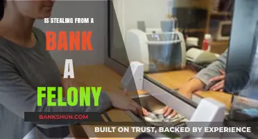 Is Stealing from a Bank a Felony? Legal Consequences Explained
