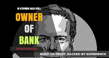 Is Stephen Calk Still the Owner of The Federal Savings Bank?