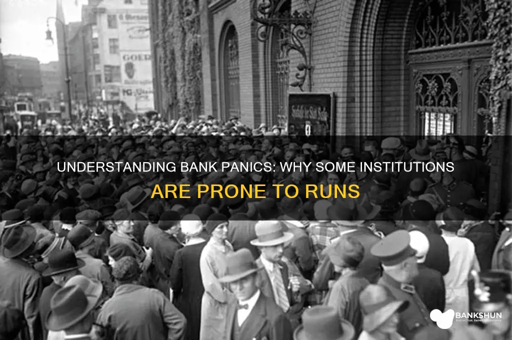 is susceptible to bank panics or runs
