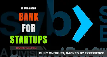 Is SVB the Right Bank for Your Startup? Pros and Cons