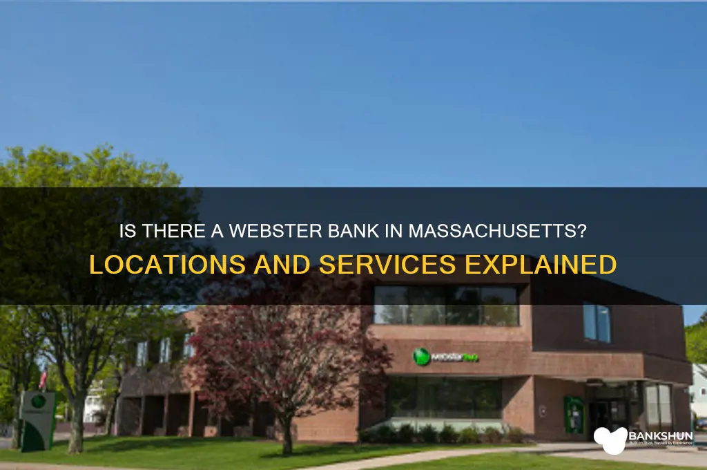 is tbere a webster bank i ma