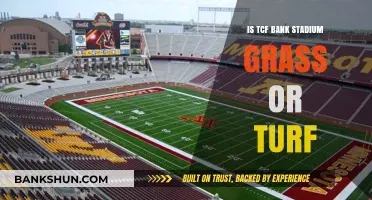TCF Bank Stadium Surface: Grass or Turf? Uncovering the Truth