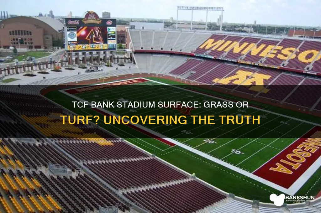 is tcf bank stadium grass or turf