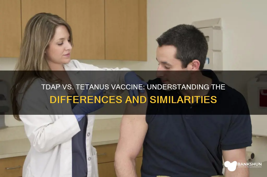 is tdap and tetanus vaccine the same