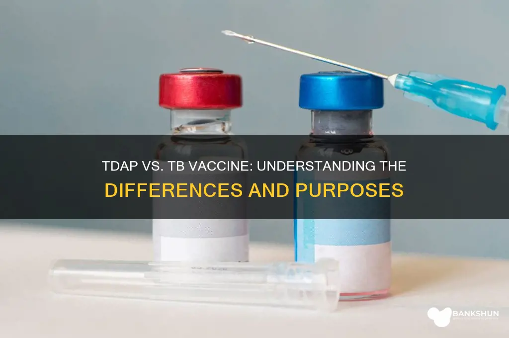 is tdap the same as tb vaccine