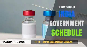 Is Tdap Vaccine Included in India's Government Immunization Schedule?