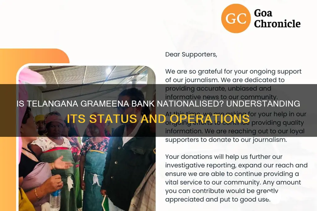 is telangana grameena bank a nationalised bank