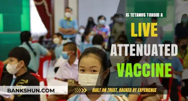 Is Tetanus Toxoid a Live Attenuated Vaccine? Unraveling the Facts