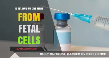 Tetanus Vaccine and Fetal Cells: Separating Fact from Fiction