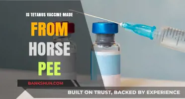 Tetanus Vaccine Origin: Debunking the Horse Pee Myth