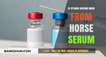 Is Tetanus Vaccine Derived from Horse Serum? Unraveling the Facts
