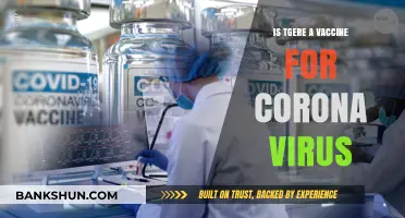 Is There a Coronavirus Vaccine? Latest Updates and Developments