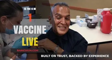 Understanding the 6-in-1 Vaccine: Is It a Live Vaccine?