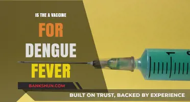 Dengue Fever Vaccine: Current Status and Future Prospects