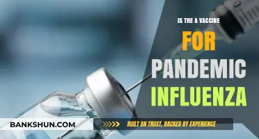 Pandemic Influenza Vaccine: Current Status and Future Prospects