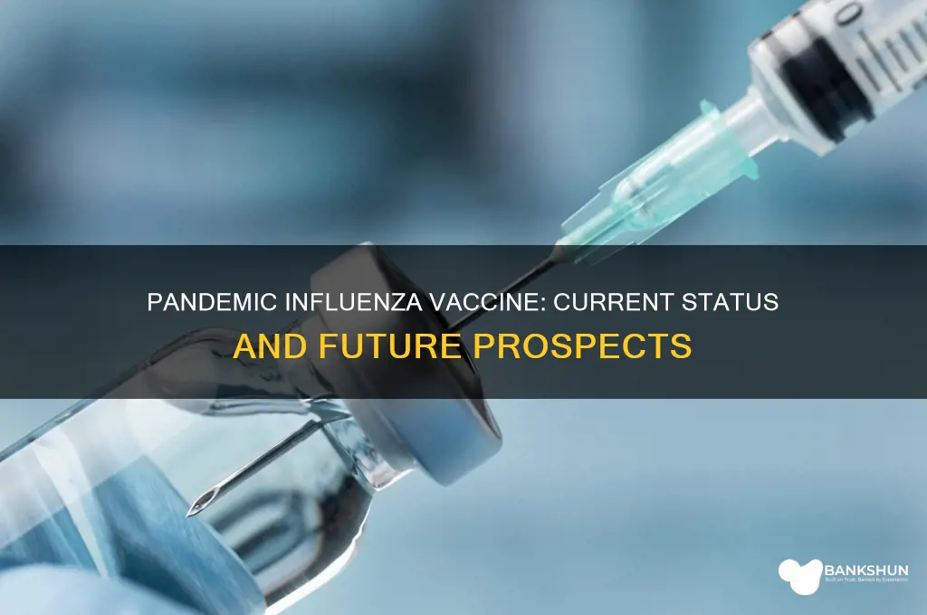 is the a vaccine for pandemic influenza