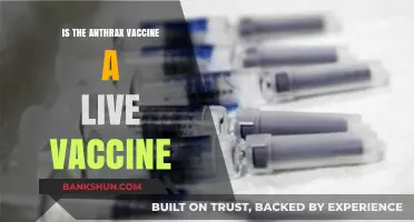 Is the Anthrax Vaccine Live? Understanding Its Composition and Safety