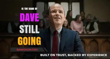 Is the Bank of Dave Still Operating Today? An Update
