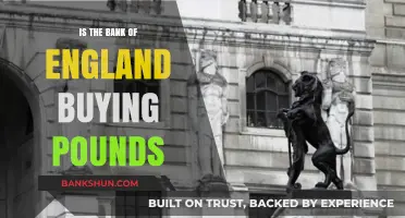 Is the Bank of England Intervening to Support the Pound?
