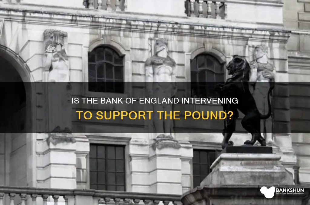 is the bank of england buying pounds