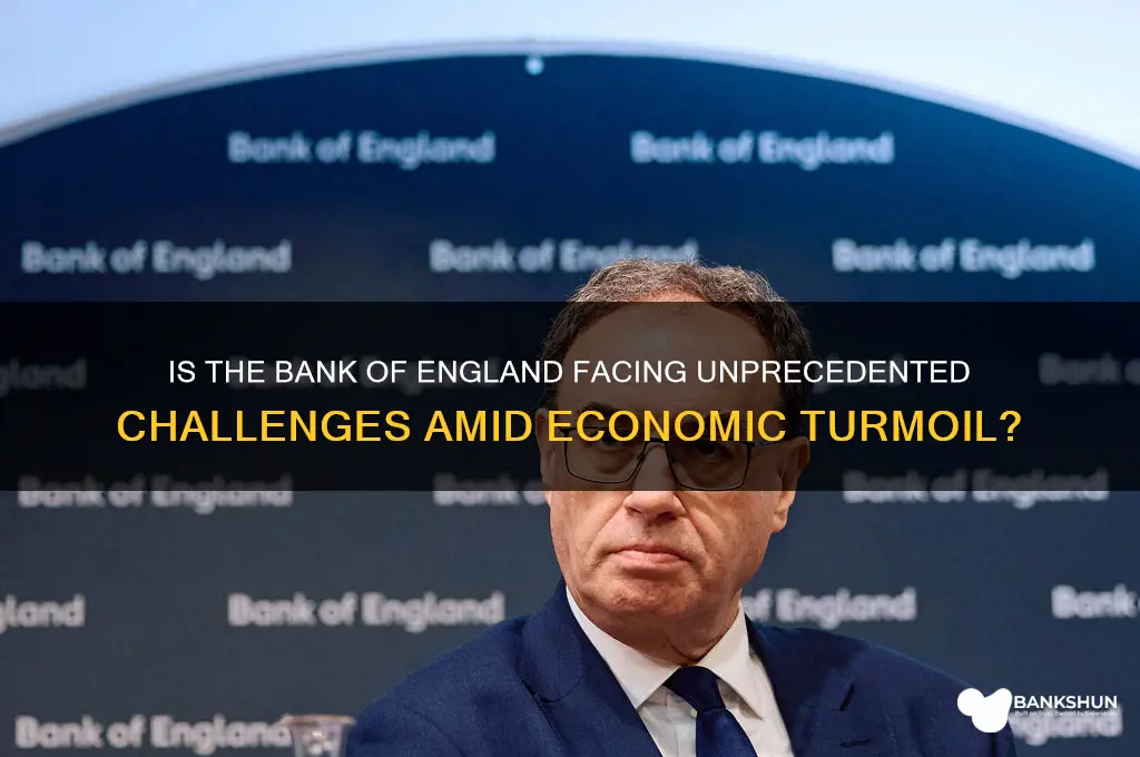 is the bank of england in trouble