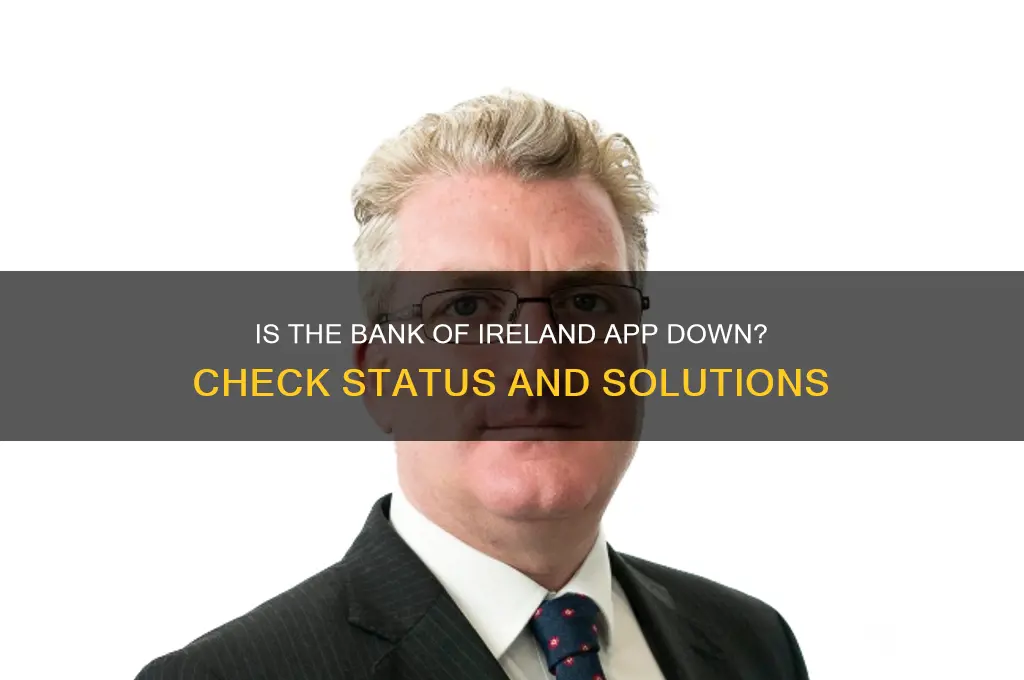 is the bank of ireland app down