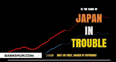 Is the Bank of Japan Facing a Financial Crisis?