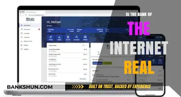 Is the Bank of the Internet Real? Exploring Online Financial Systems