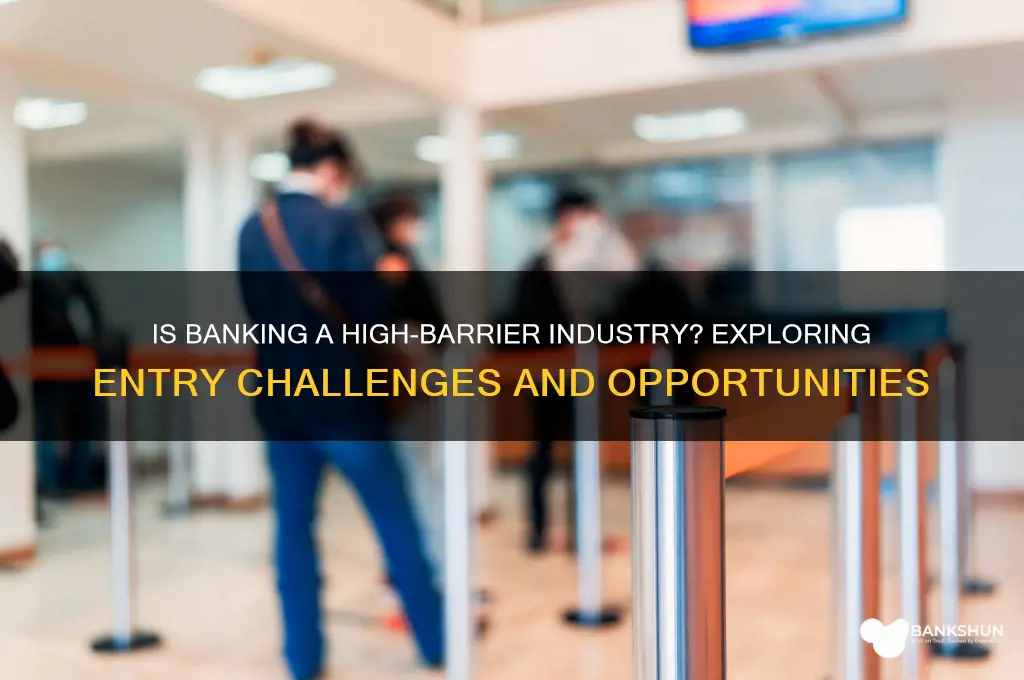 is the banking industry a rhigh barrier