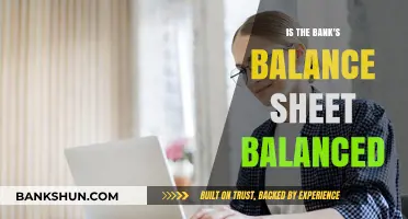 Is the Bank's Balance Sheet Truly Balanced? A Critical Analysis
