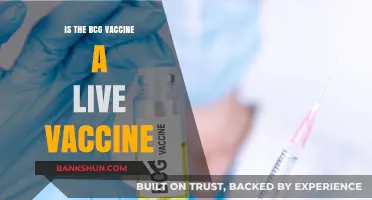 BCG Vaccine: Understanding Its Live Attenuated Nature and Benefits