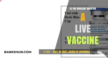 Is the Bivalent Booster a Live Vaccine? Facts Explained