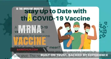 Understanding the Bivalent Booster: Is It an mRNA Vaccine?