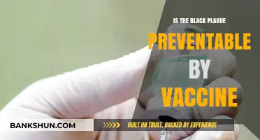 Preventing the Black Plague: Vaccine Potential and Historical Insights