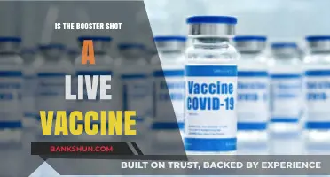 Is the Booster Shot a Live Vaccine? Facts and Insights